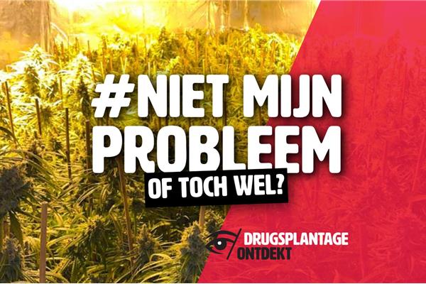 Merksem - Drie jaar gevangenisstraf en 12.000 euro geldboete voor verdachten van cannabisplantage